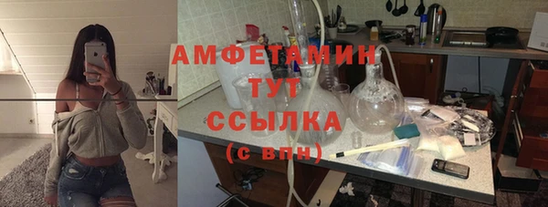 индика Беломорск