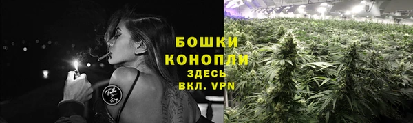 PSILOCYBIN Белокуриха