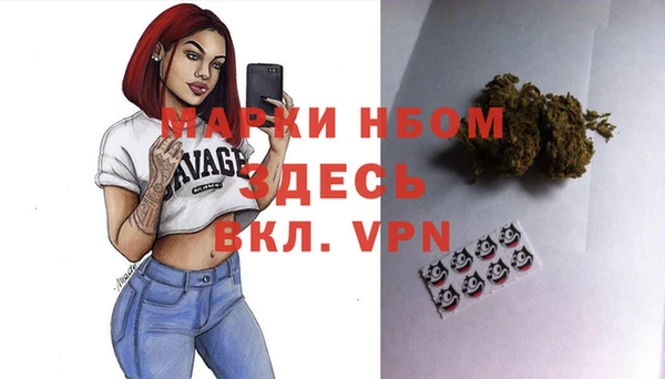 PSILOCYBIN Белокуриха