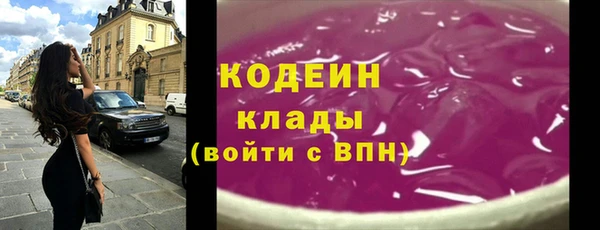 индика Беломорск
