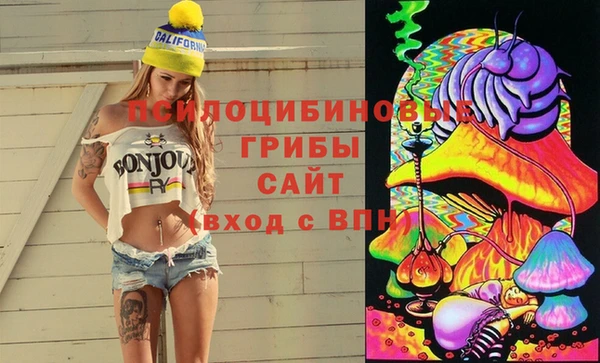 PSILOCYBIN Белокуриха