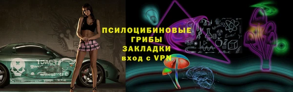 PSILOCYBIN Белокуриха