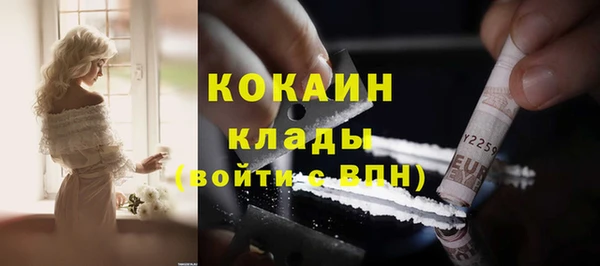 PSILOCYBIN Белокуриха