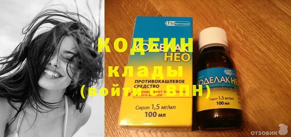 индика Беломорск
