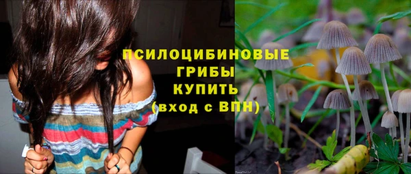 дурь Белоозёрский