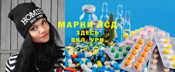 индика Беломорск