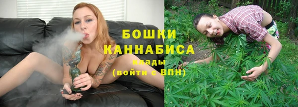 индика Беломорск