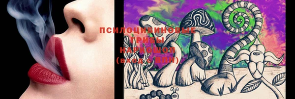 индика Беломорск