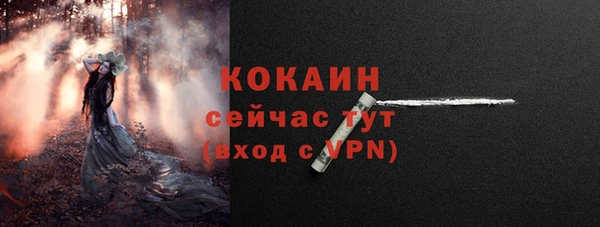 PSILOCYBIN Белокуриха